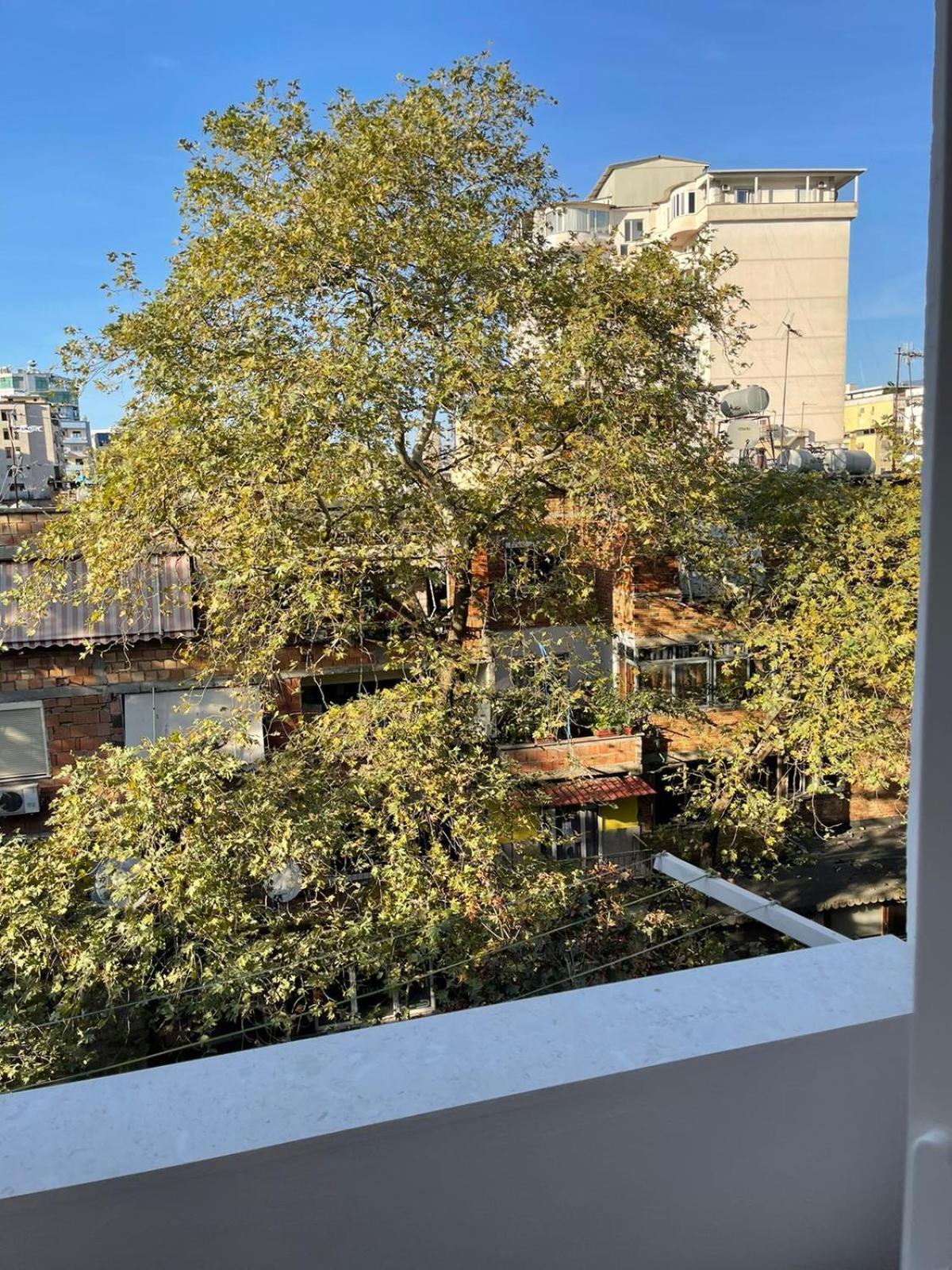 Dream Apartament Tiranë Eksteriør bilde