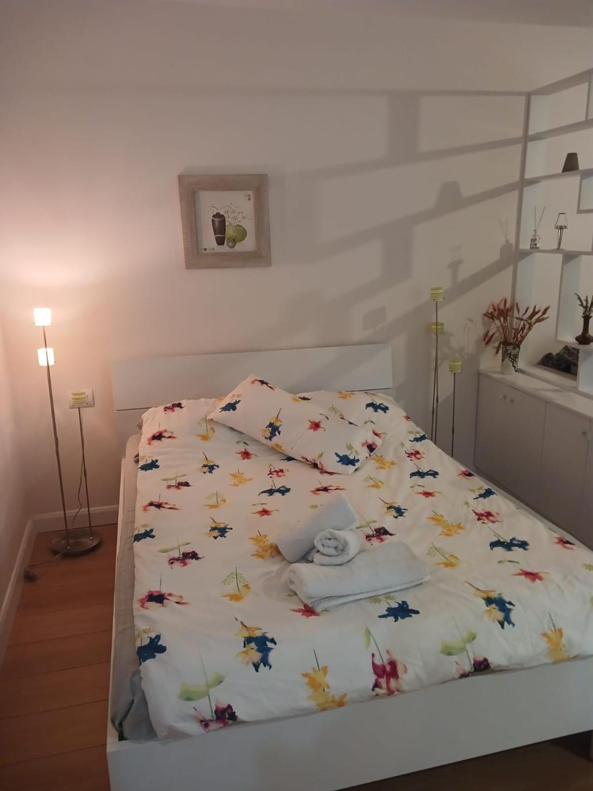 Dream Apartament Tiranë Eksteriør bilde